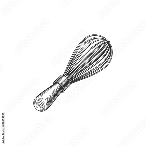 whisk engraving hand drawn illustration isolated white background