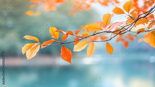 Cooling environment transforming with autumn hues, Cooling, Environment, Transformation photo