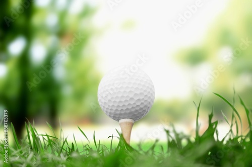 Wallpaper Mural Golf clubs and balls on green lawn at course Torontodigital.ca