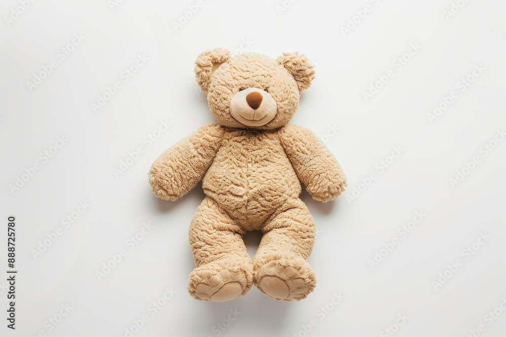 Plush bear on white background from above Plush bear on white background from above