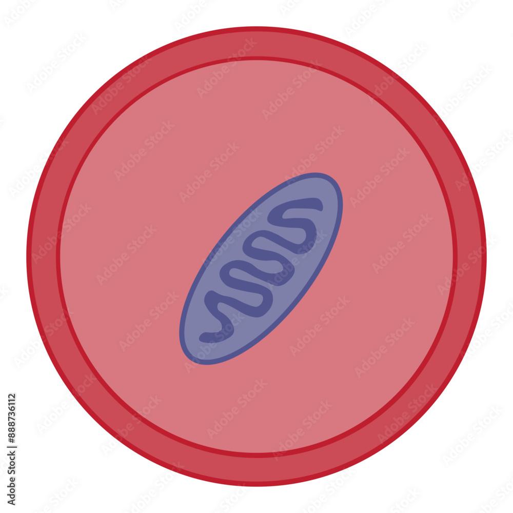 autophagosome autophagosome