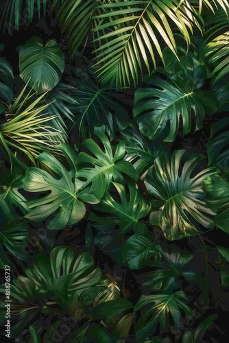 Tropical Leaf Pattern