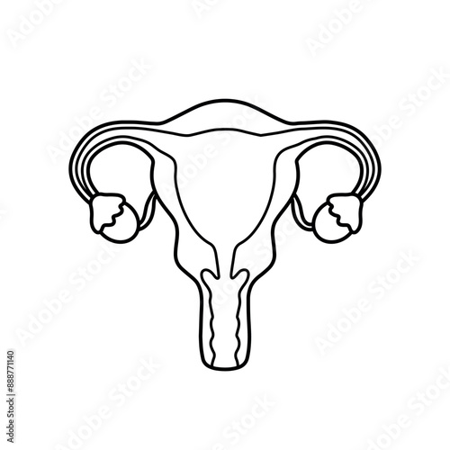 Black line uterus and ovaries woman reproduction system drawing for human anatomy vector illustration