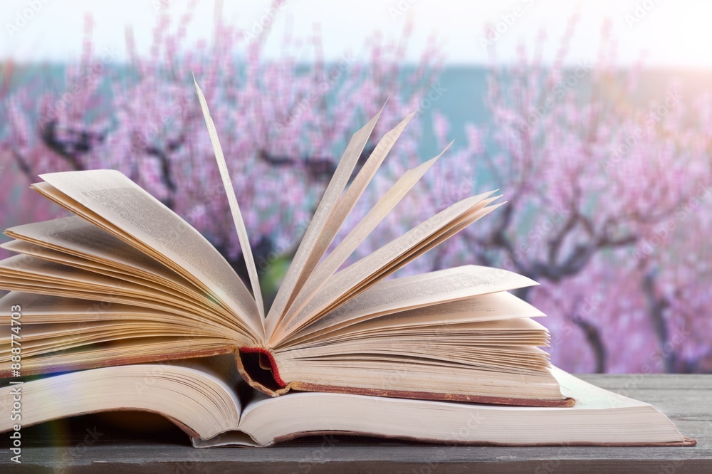 Fototapeta premium Flower petals in the spring background, book on the desk