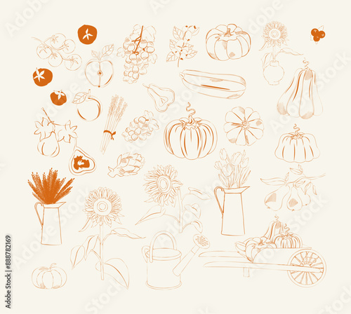 Autumn sketch illustration. Sunflowers, pumpkin, fruit and vegetables. Editable vector illustration.kitchen art.