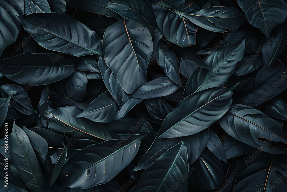 a pile of black leaves a pile of black leaves