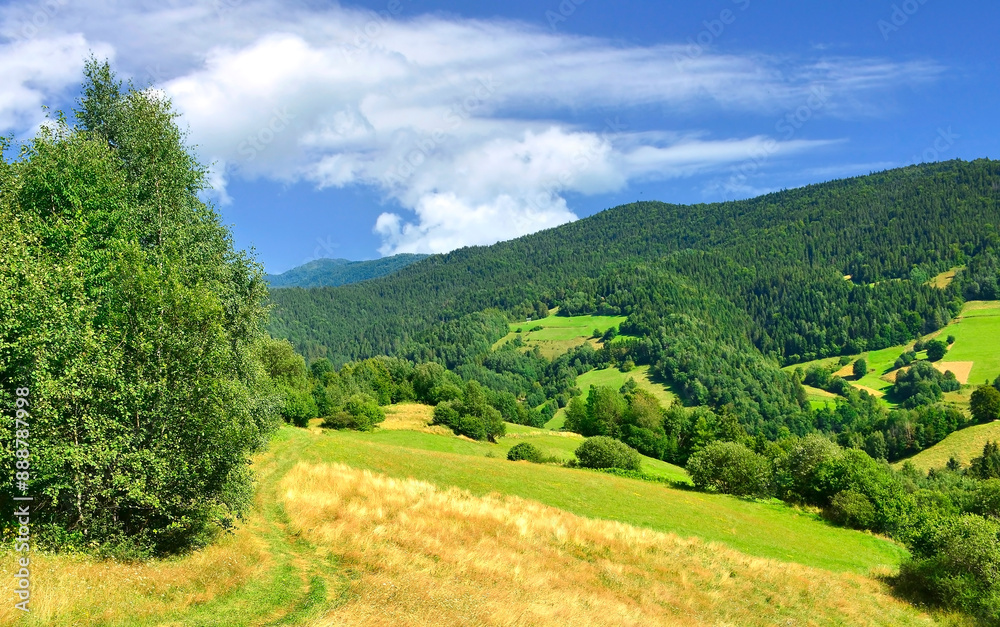 Fototapeta premium Summer lanscape in mountains, Gorce Mountains, Poland.
