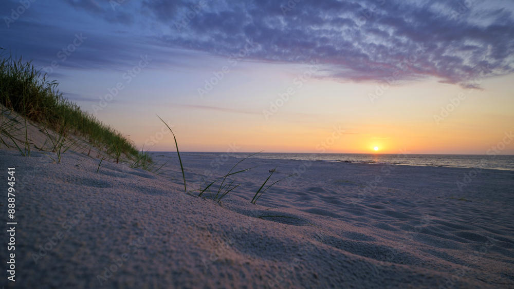 A close-up of blades of grass with water droplets growing from a sandy beach surrounded by dunes. Sunset in the background. Baltic Sea, Poland