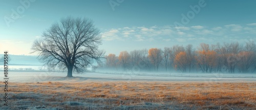 Solitary Tree in a Frozen Field, Winter's Dawn