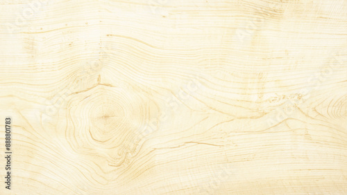 Light wood texture background  old natural pattern or old wood texture table top view. White marble texture background pattern with high resolution