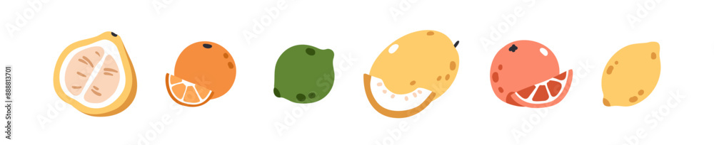 Fototapeta premium Tropical fruits set. Pomelo half, orange and cut slice, tangerine, whole lime, melon, grapefruit and lemon. Fresh citrus, healthy food. Flat vector illustrations isolated on white background