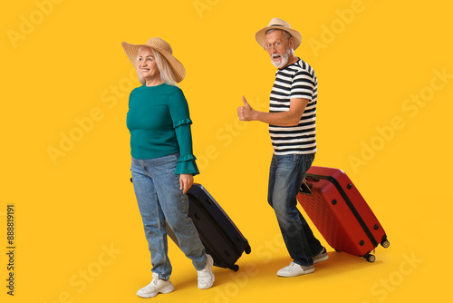 Senior couple with suitcase...
