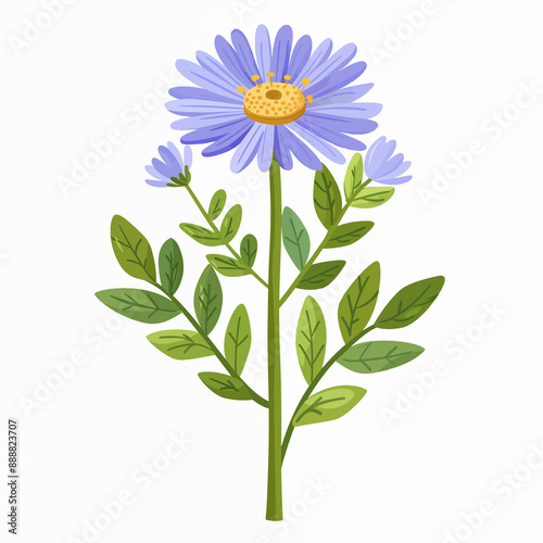flower illustration isolated on white background	