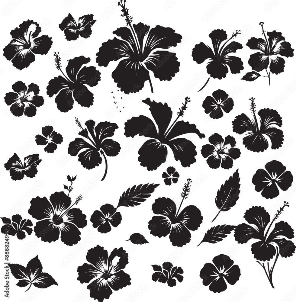 Hibiscus flower silhouettes Hibiscus flower silhouettes