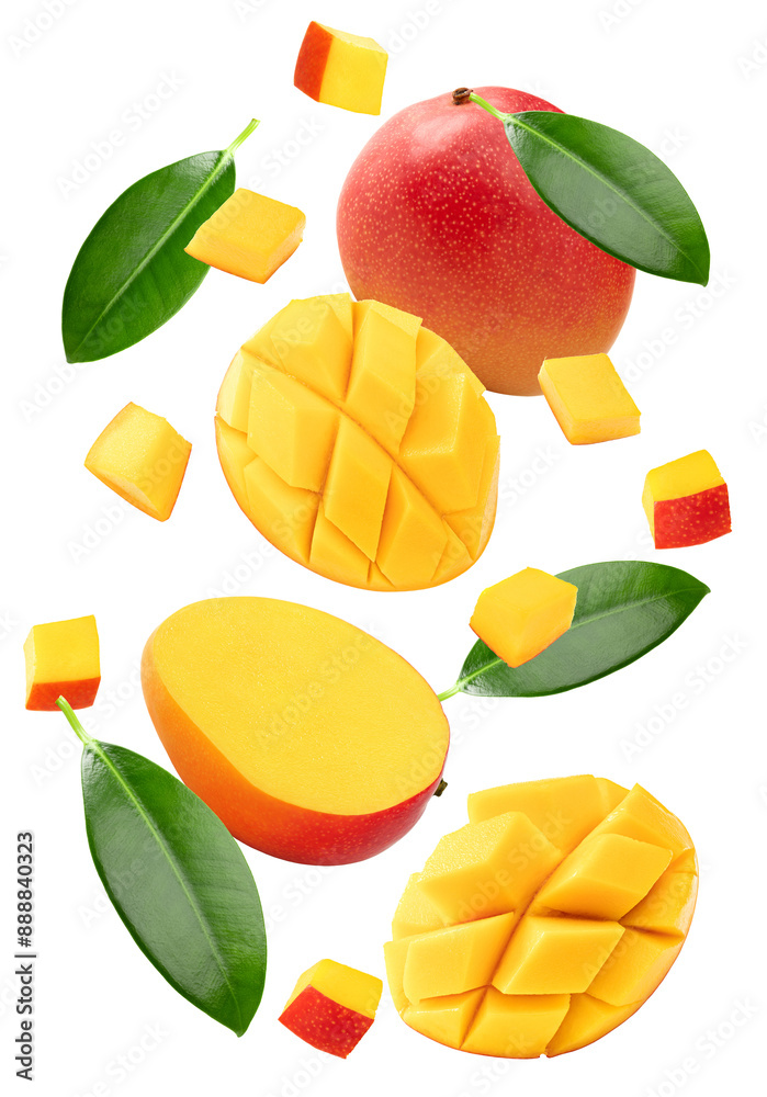 flying mango with slices and green leaves isolated on white background. clipping path flying mango with slices and green leaves isolated on white background. clipping path