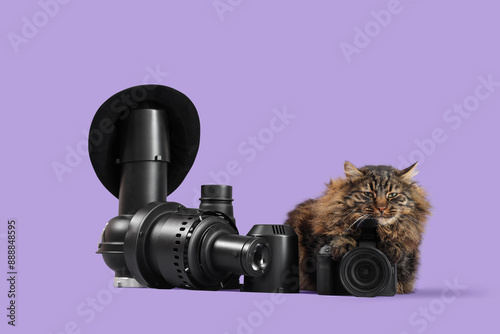 Cute cat, hat and video pro...