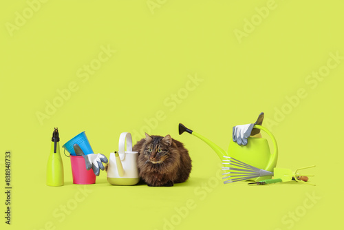 Cute cat with different gar...