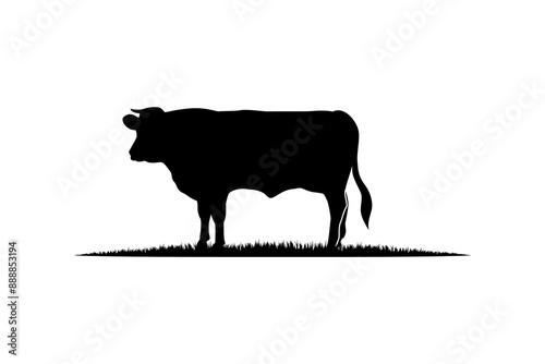 Cow silhouette vector. Cow icon. photo