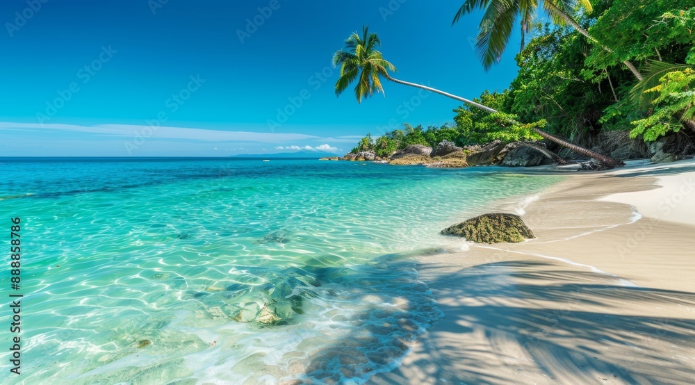 Naklejka premium Coconut Palm Tree Leaning Over White Sand Beach Into Tropical Blue Ocean Waters