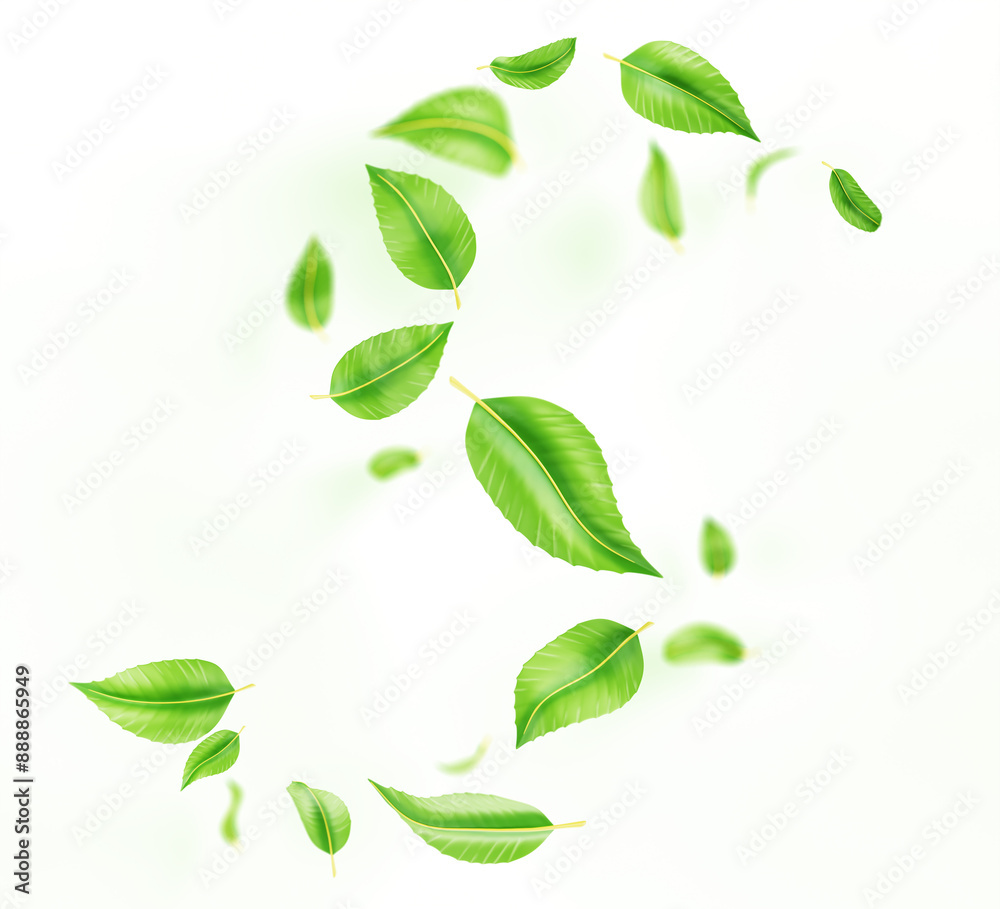 3d abstract green leaves swirl wave line, spiral wind effect isolated on white background. Flow fresh mint or tea foliage, herbal leaf falling and flying in air, render design element. 3D illustration 3d abstract green leaves swirl wave line, spiral wind effect isolated on white background. Flow fresh mint or tea foliage, herbal leaf falling and flying in air, render design element. 3D illustration