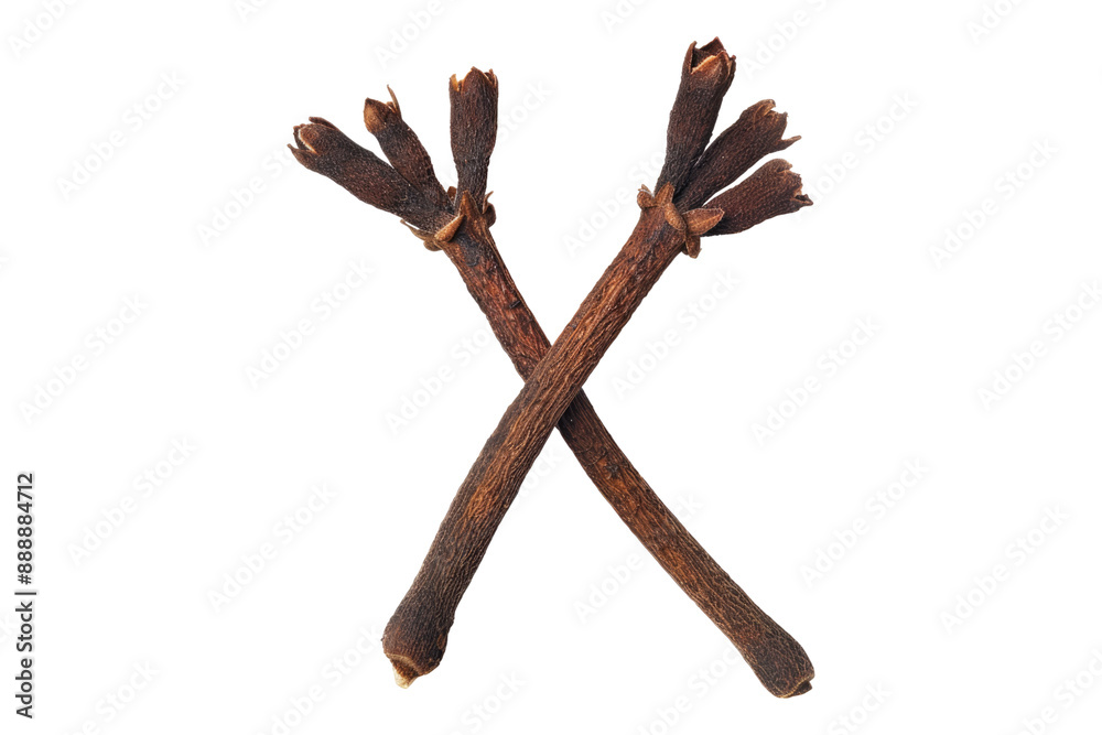 Clove stem isolated on transparent background Clove stem isolated on transparent background