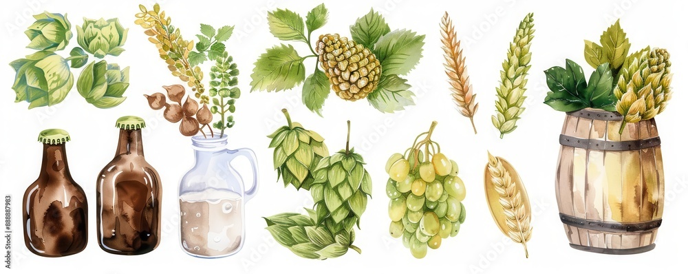 craft beer brewing ingredients, collection element, watercolor style, assorted, isolated on white background craft beer brewing ingredients, collection element, watercolor style, assorted, isolated on white background