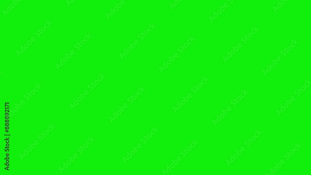 Animated cute isolated cat silhouette walking alone on green screen background. Concept of pet, animal and nature. Animated cute isolated cat silhouette walking alone on green screen background. Concept of pet, animal and nature.