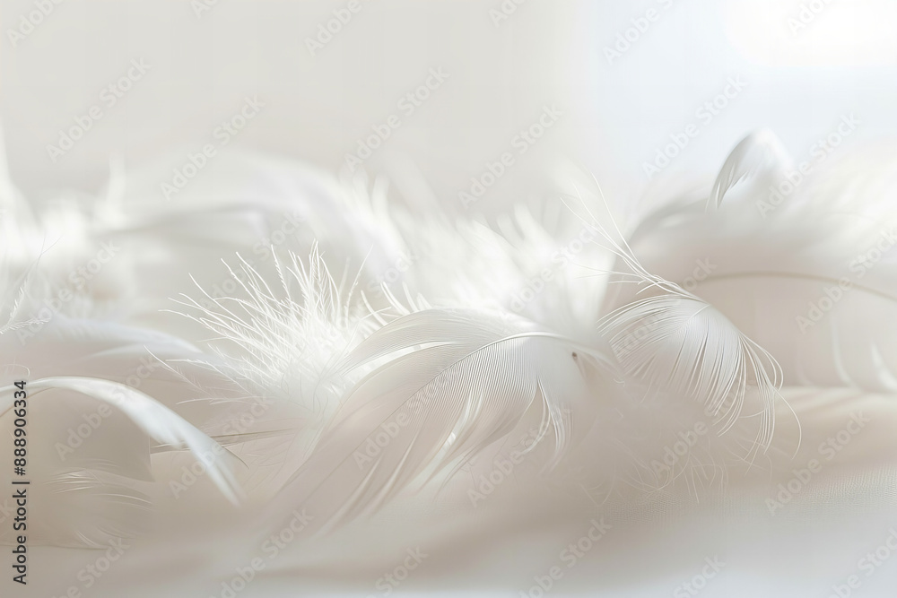 Elegant White Feathers Close-up with Soft Textures and Delicate Details, Ideal for Natural Backgrounds, Wedding Decorations, and Elegant Designs Elegant White Feathers Close-up with Soft Textures and Delicate Details, Ideal for Natural Backgrounds, Wedding Decorations, and Elegant Designs
