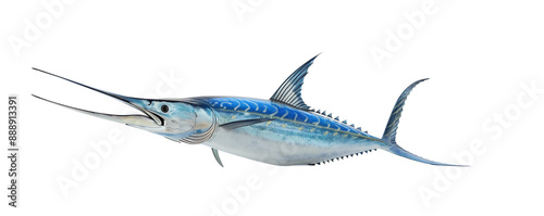 Vibrant illustration of a majestic marlin fish with a sleek body and long bill, perfect for marine-themed projects or educational use.