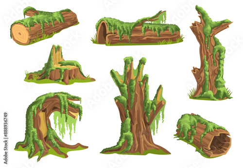 Stumps in moss. Fluffy plants on tree trunks. Wooden surfaces covered with green lichen. Creeping micro growth. Mossy branches. Overgrown wood. Splendid vector landscape elements set