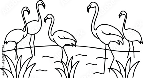flamingos group standing in a wetland line art vector illustration, tropical bird flamingo line drawing	
