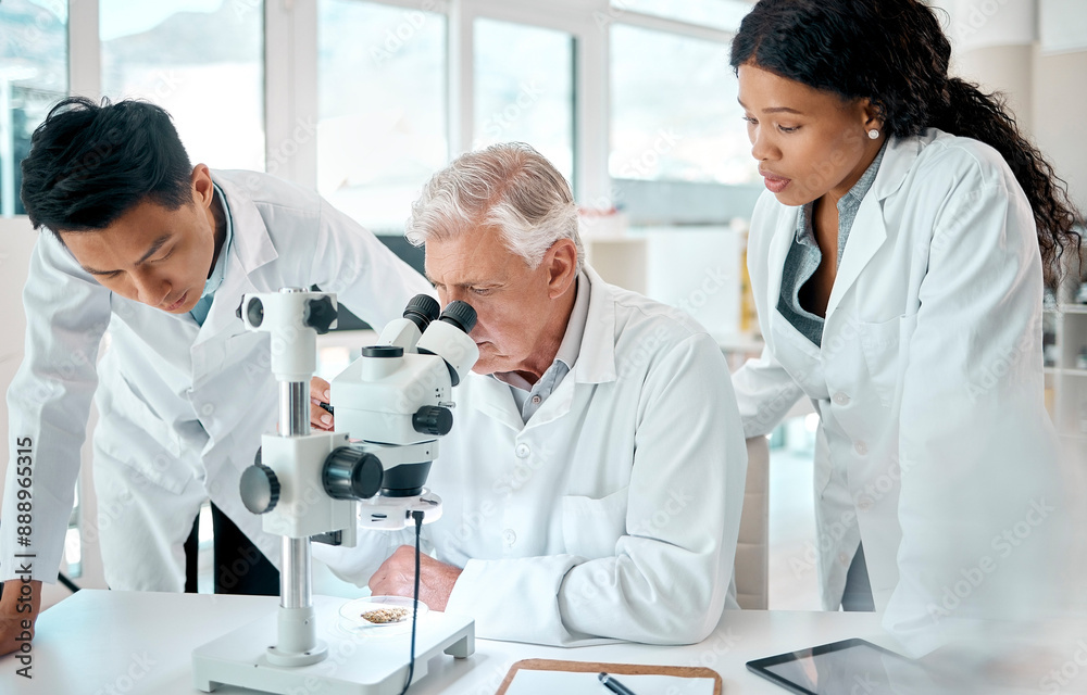 © Oostendorp/peopleimages.com - Science, team and people with research in laboratory for medical experiment, consulting and solution. Scientist, microscope and employee with conversation for vaccine study, support or clinical trial © Oostendorp/peopleimages.com - Science, team and people with research in laboratory for medical experiment, consulting and solution. Scientist, microscope and employee with conversation for vaccine study, support or clinical trial