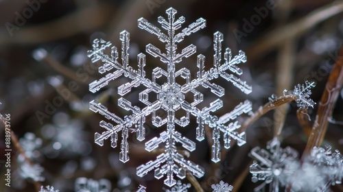 Macro Photography of indivdual Snowflakes photo