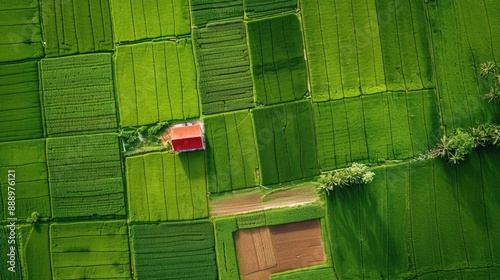 Land value in aerial view consist of landscape of green field or agriculture farm house building growth graph of rate market price for agent realtor investor to sale buy mortgage and investment