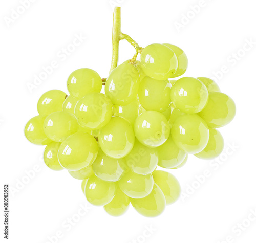 Isolated grapes. Claster of green grapes hanging on a stem isolated on white background