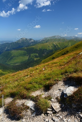 Sunny summer day on a mountain hike in the heart of the Slovak Western Tatras called Roháče, green grass and blue sky, stones covered with lichen, pine trees kneeling along narrow paths