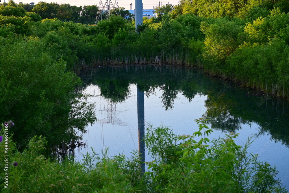 Obraz premium Large Cove Of Water Under A Telephone Pole And Surrounded By Bushes