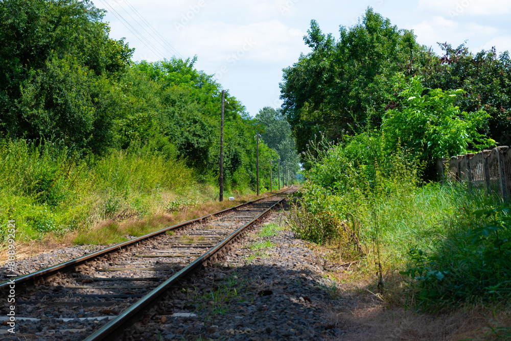 Obraz premium railway in the forest