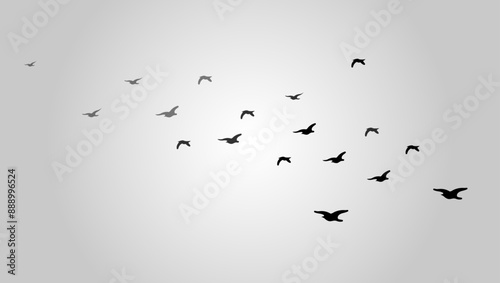 Silhouette of Flying Birds Flock Vector Illustration. Suitable for Wall art, posters, t-shirts, home decor, Greeting cards, wedding invitations, stationery, and apparel