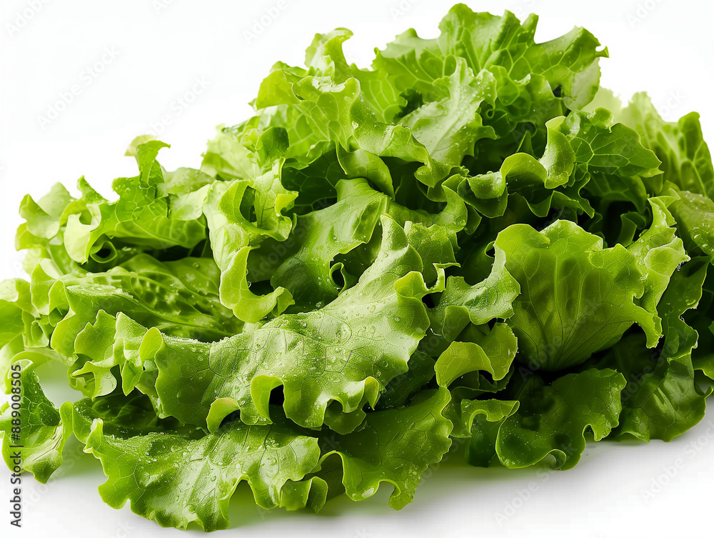 a perfect green salat on a white background. a perfect green salat on a white background.