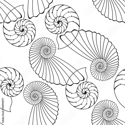 Seamless vector pattern with  seashells. Nature background. Line art. Black and white.  Perfect for wallpaper, wrapping, fabric, print and textile. 