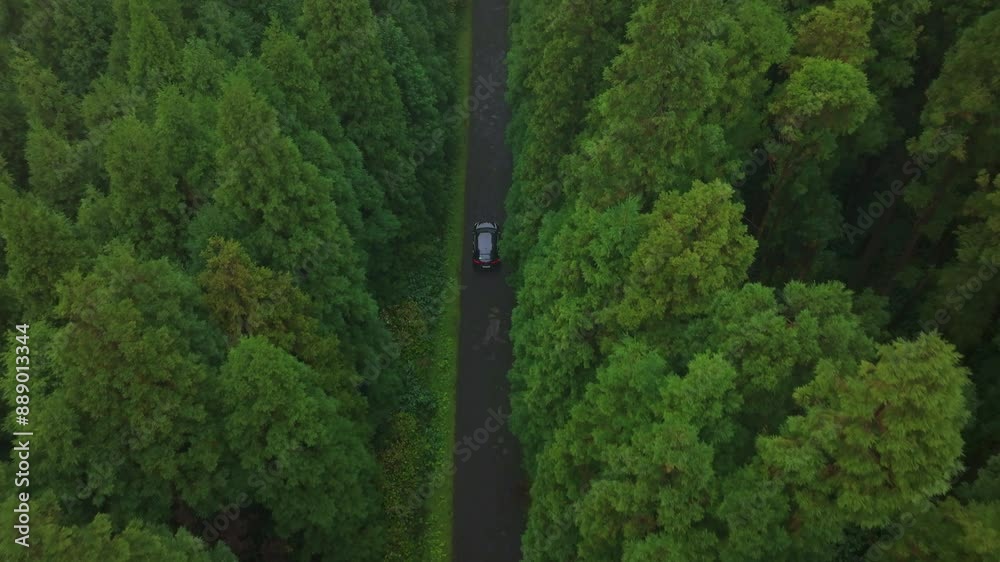 Aerial view of moody forest road with driving car, Flores, Azores, Portugal. Aerial view of moody forest road with driving car, Flores, Azores, Portugal.
