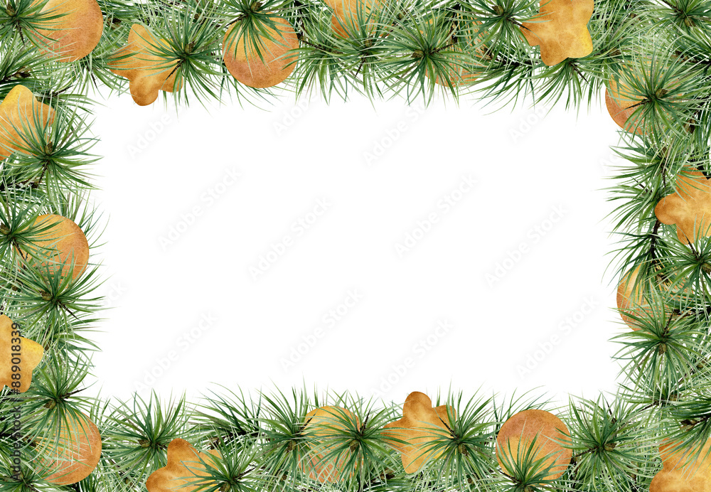 Pine, fir tree, spruce branches, gold bauble balls stars. Watercolor hand drawn illustration, border frame isolated on white. Xmas, happy new year festive, noel navidad. Cards, gifts, florist shop. Pine, fir tree, spruce branches, gold bauble balls stars. Watercolor hand drawn illustration, border frame isolated on white. Xmas, happy new year festive, noel navidad. Cards, gifts, florist shop.