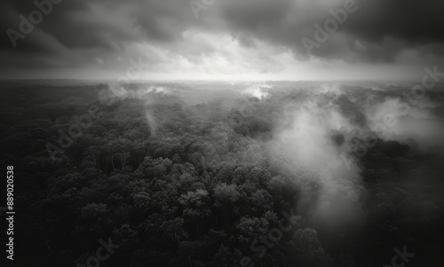 Aerial View of Dense Rainforest With Mist and Overcast Sky