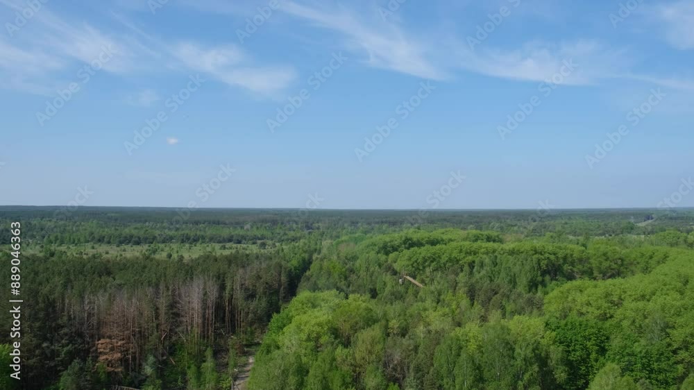 View from the top of a building in the city of Pripyat View from the top of a building in the city of Pripyat