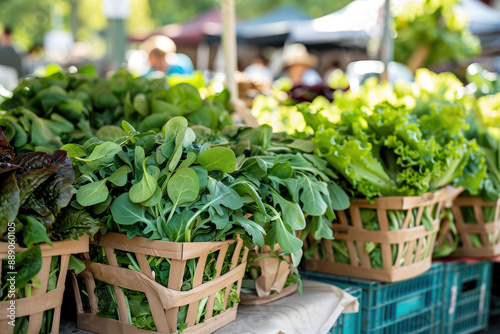 Farmers market stall displaying baskets filled with fresh leafy greens, set against a backdrop of market activity and greenery