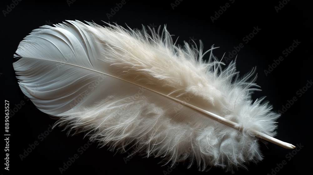 Obraz premium A delicate white feather against a dark background, illustrating purity and softness in its intricate textures.