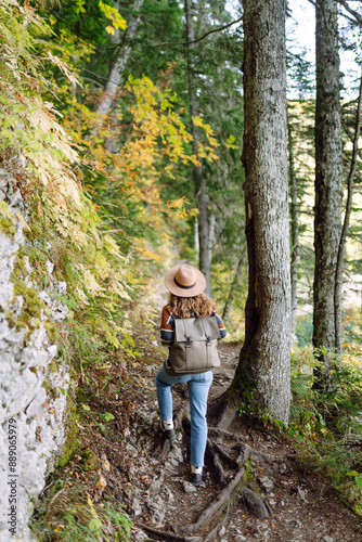 Active woman go hiking and walk along the trail in forest. Female hiker explore woodland. Nature, travel, rest concept.