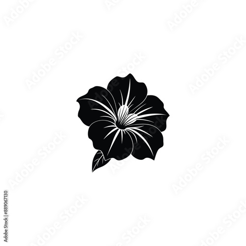  petunia flower