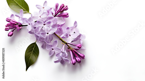 Beautiful flowers bring back memories.